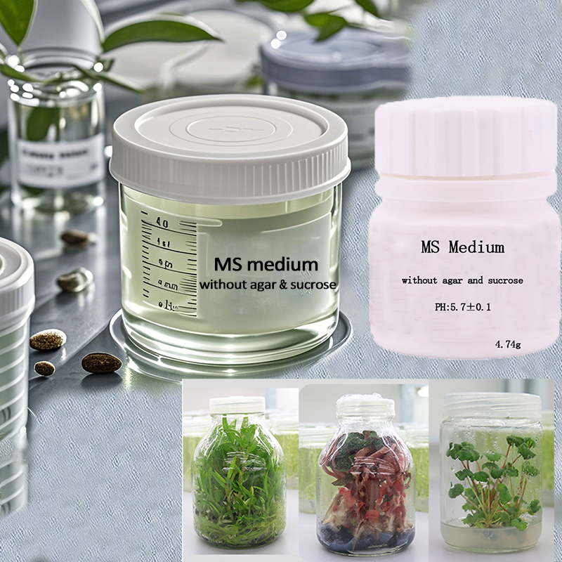 Agar Tissue Culture - MS medium Without Agar Or Sucrose
