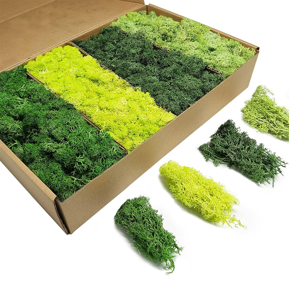 Sphagnum Moss Dry - Artificial Green Plants Eternal Life Moss