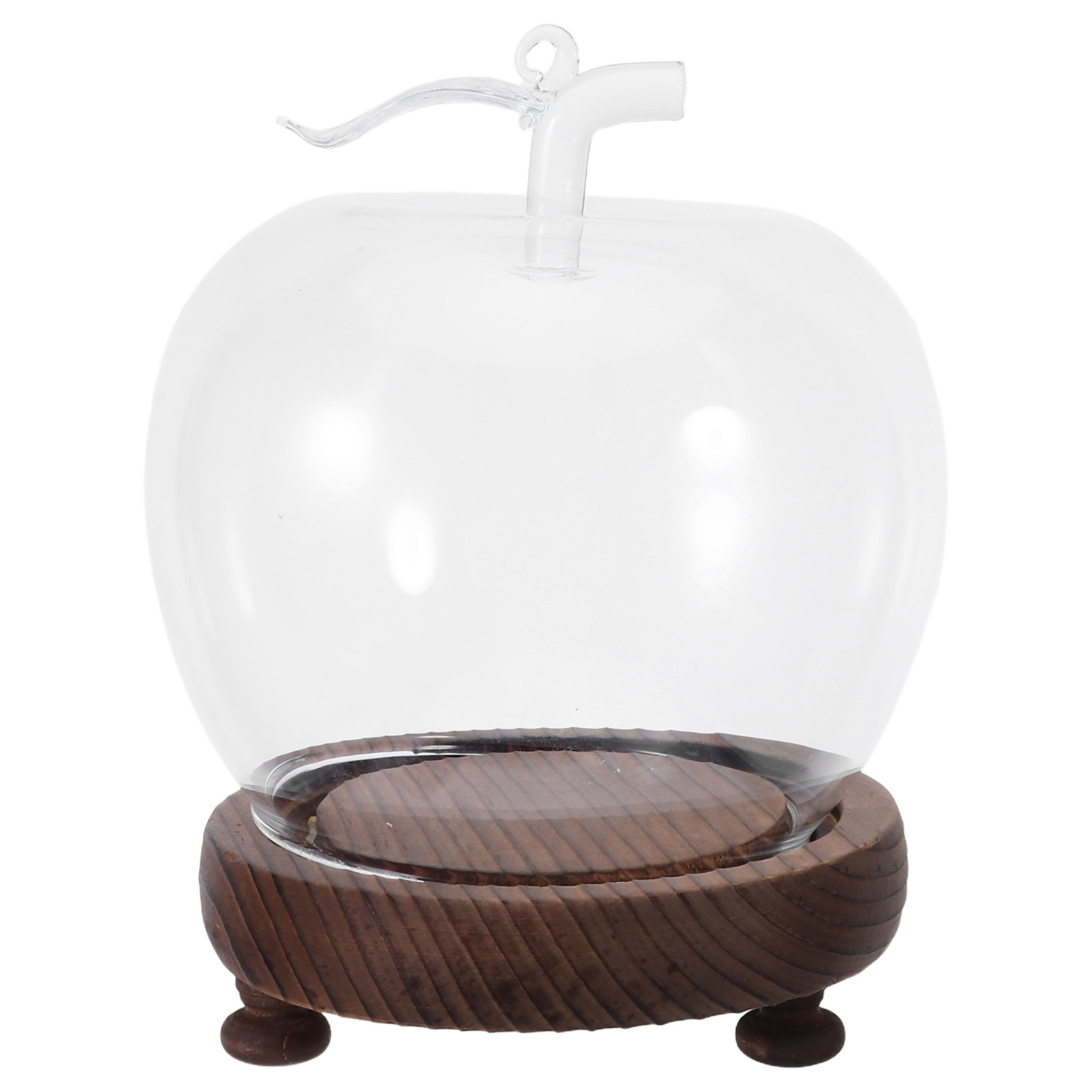Decorative Glass Dome with Sol - Plastic Dome Clear recension och pris