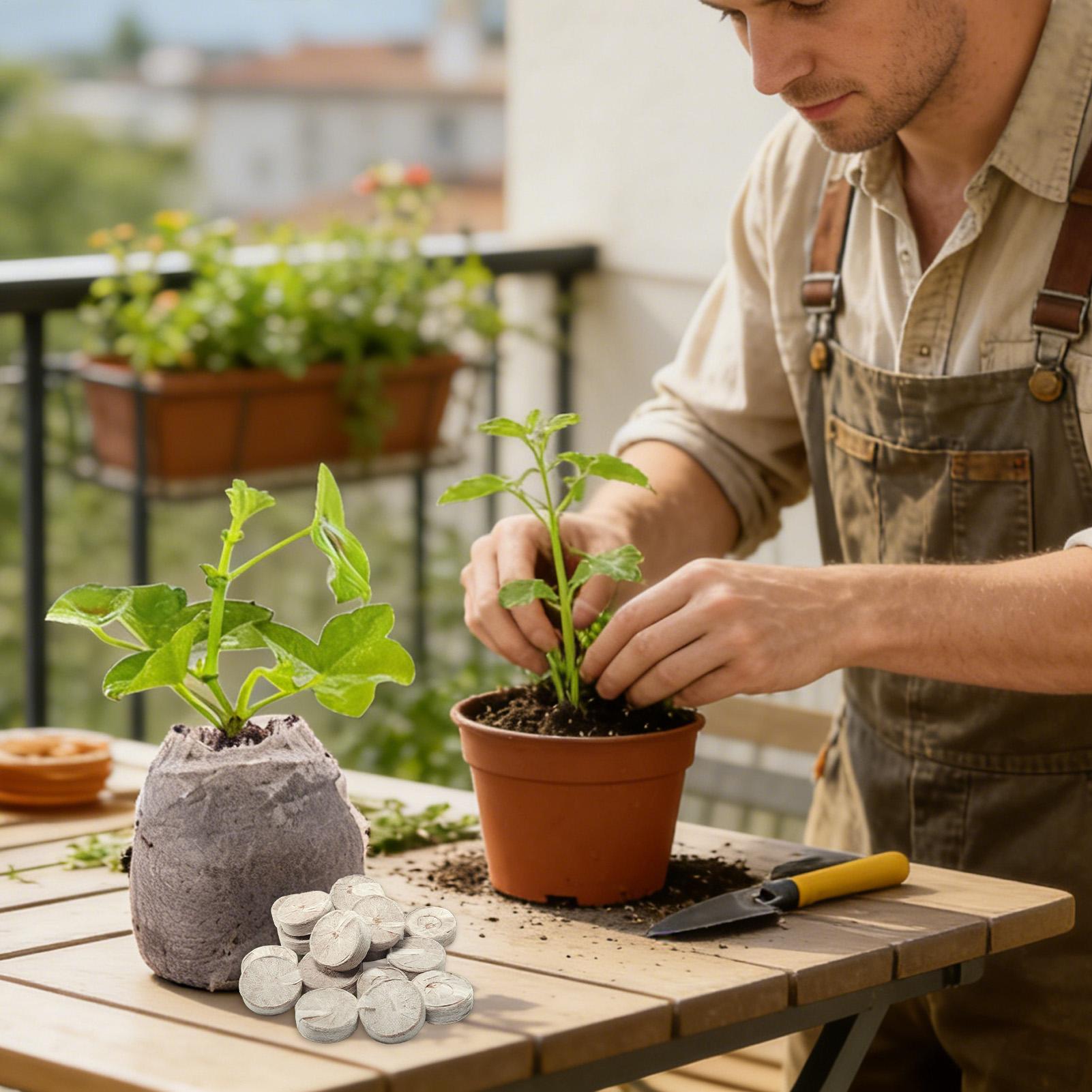 Peat Pellets 100 Piece Potting - Peat Pellet Tray recension och pris