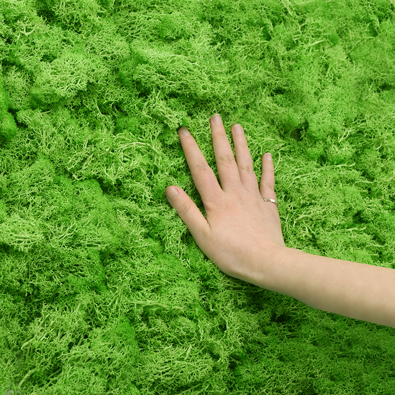20/40g Artificial Green Plants - Sphagnum Moss Dry recension och pris