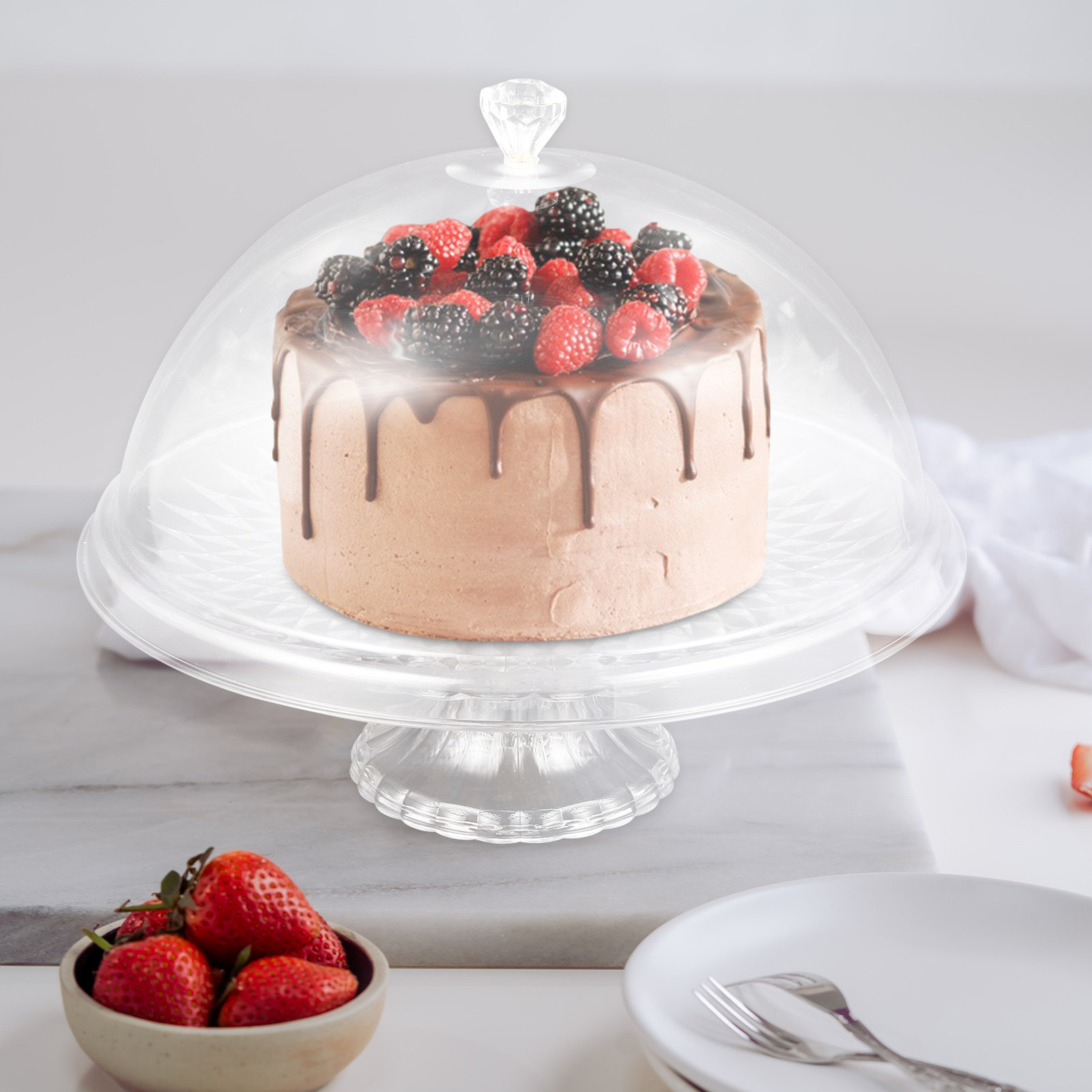 Clear Pet Cake Stand with Dome - Plastic Dome Clear recension och pris