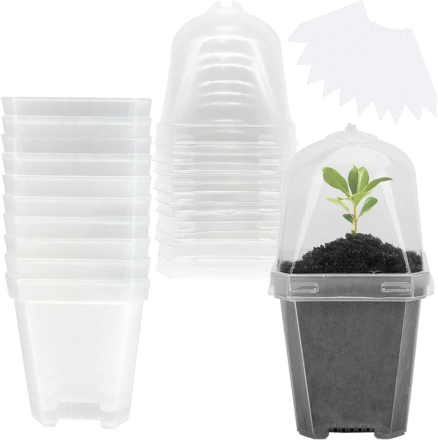 10 PCS Clear Plant Nursery Pot - Plastic Dome Clear recension och pris
