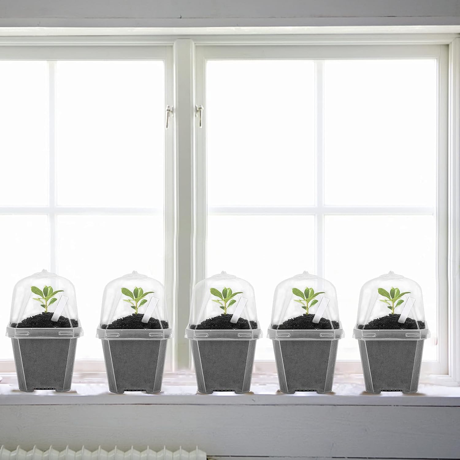10 PCS Clear Plant Nursery Pot - Plastic Dome Clear recension och pris