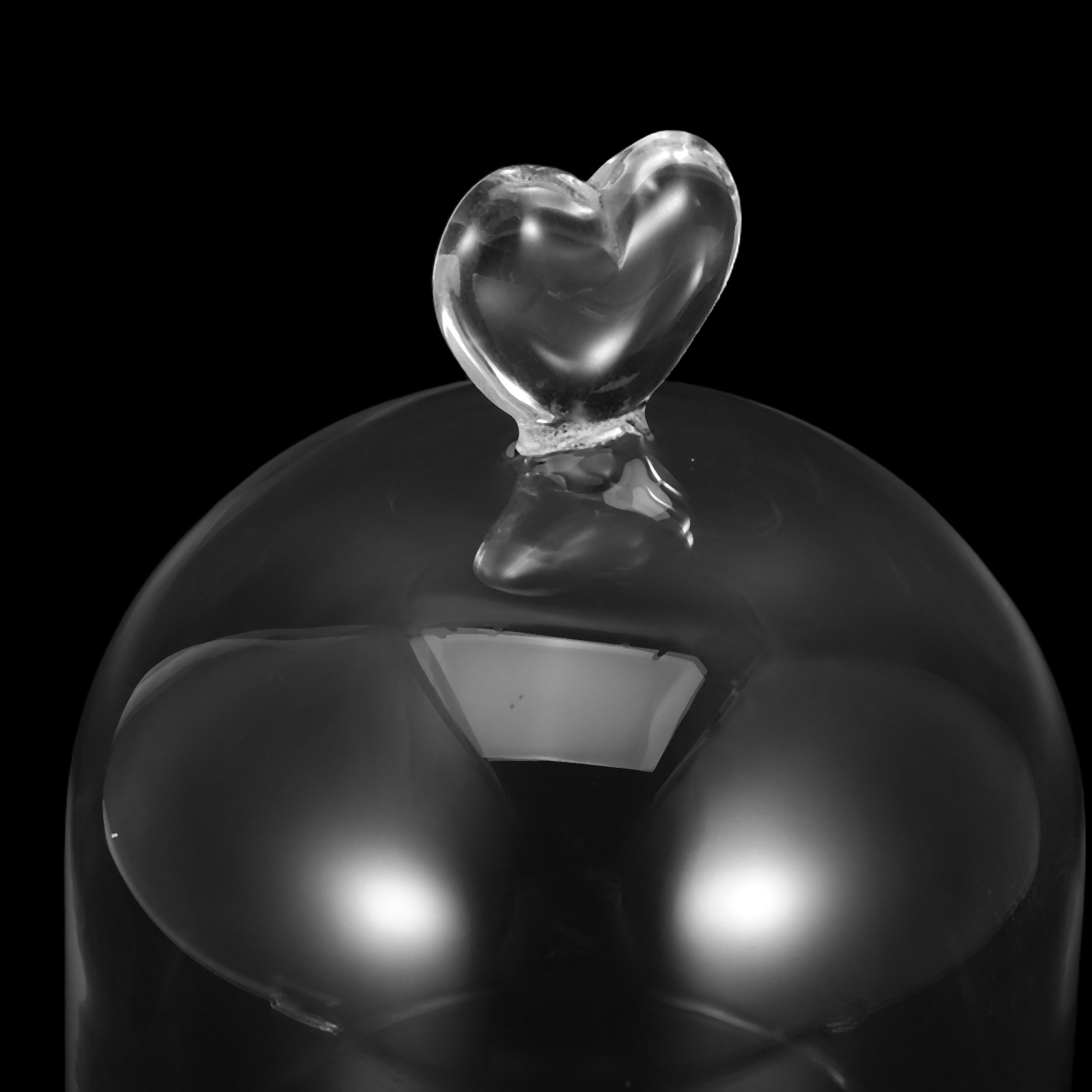 Glass Cloche 6.3x4 Transparent - Plastic Dome Clear recension och pris