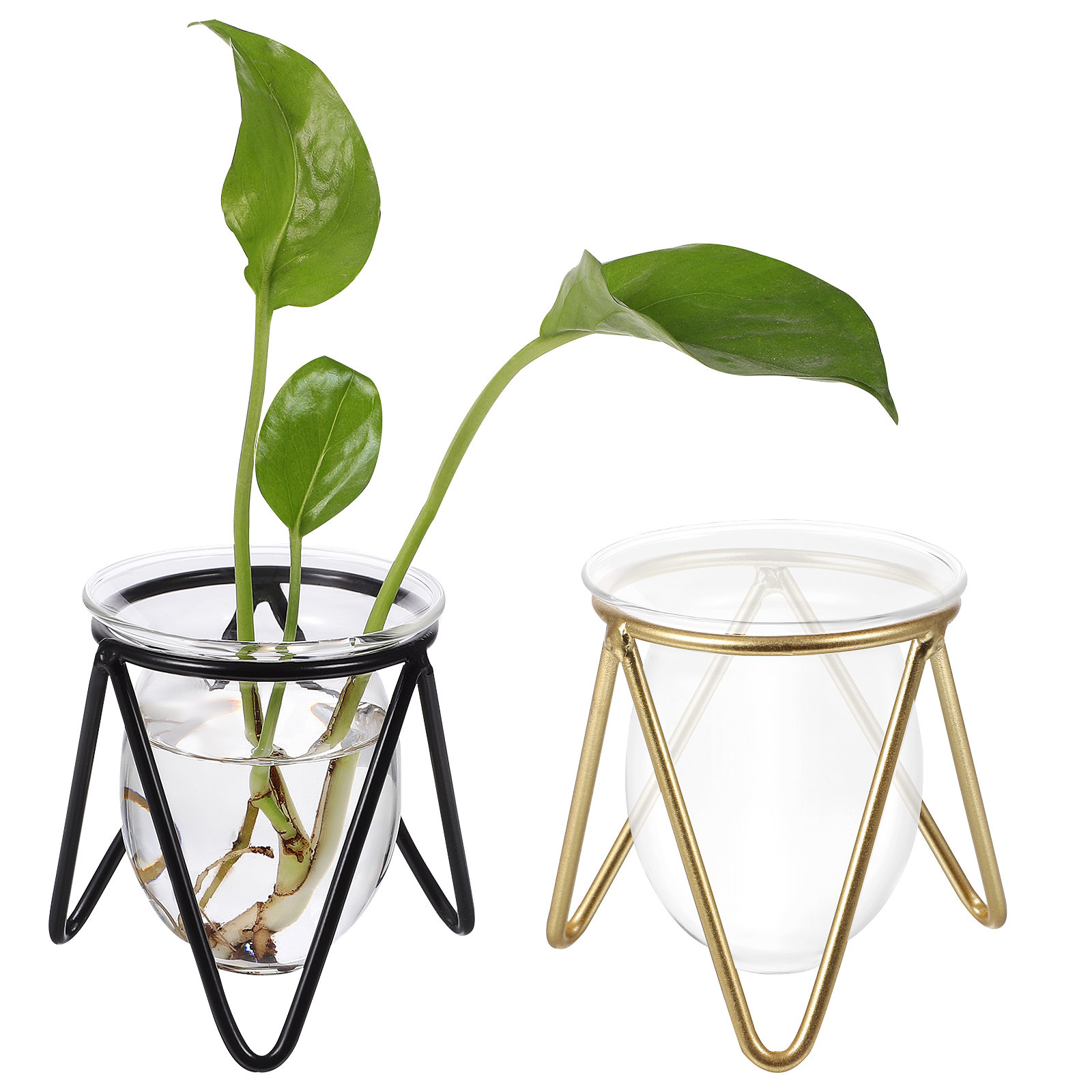 2Pcs Clear Glass Vase with Met - Propagation Station Vase recension och pris