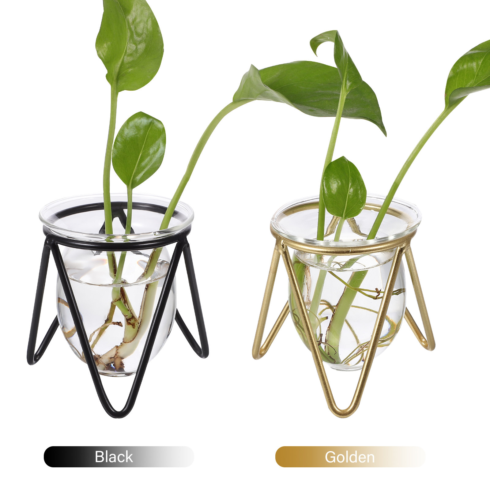 2Pcs Clear Glass Vase with Met - Propagation Station Vase recension och pris