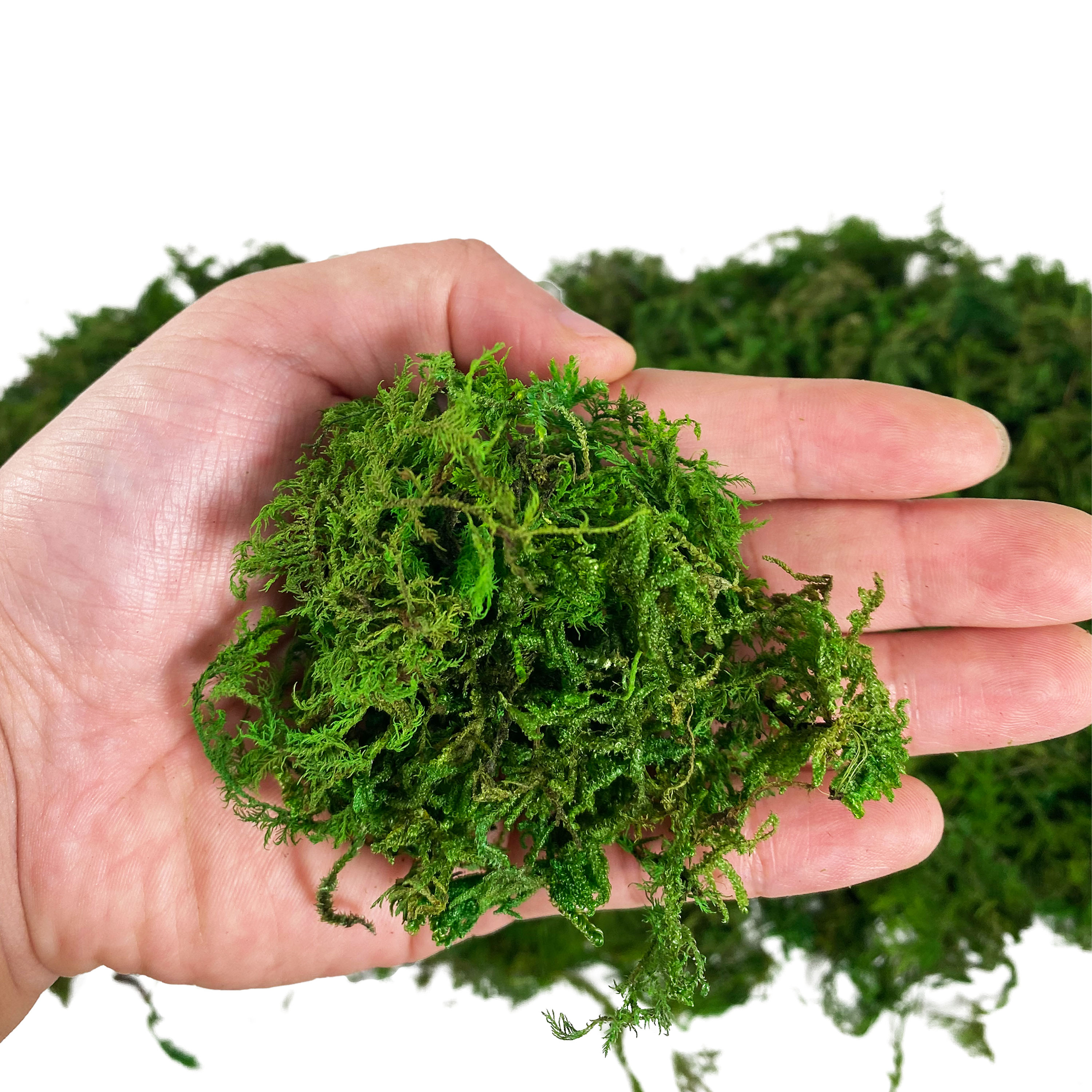 Artificial Fake Moss, Craft Mo - Sphagnum Moss Dry recension och pris