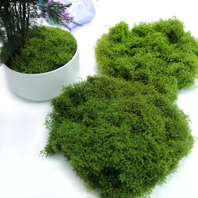 50g Fake Moss DIY Crafts Grass - Sphagnum Moss Dry recension och pris
