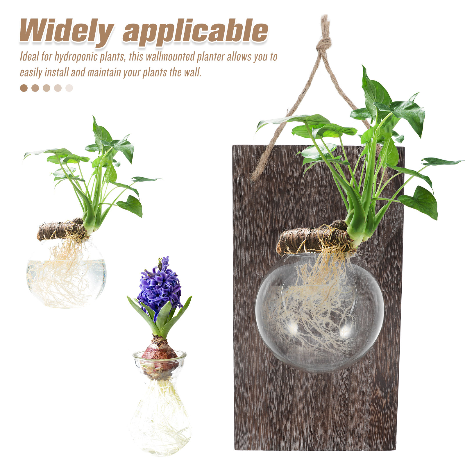 Wall Mounted Glass Planter Han - Propagation Station Vase recension och pris