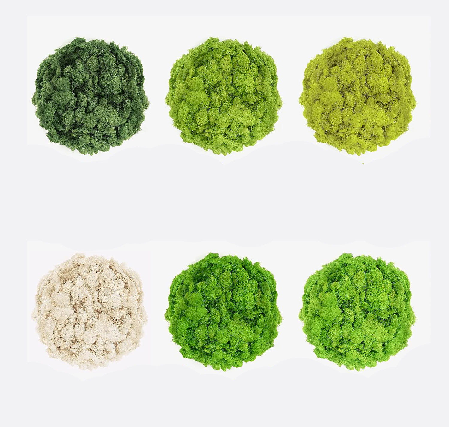 20/40/60g Eternal Life Moss Ar - Sphagnum Moss Dry recension och pris