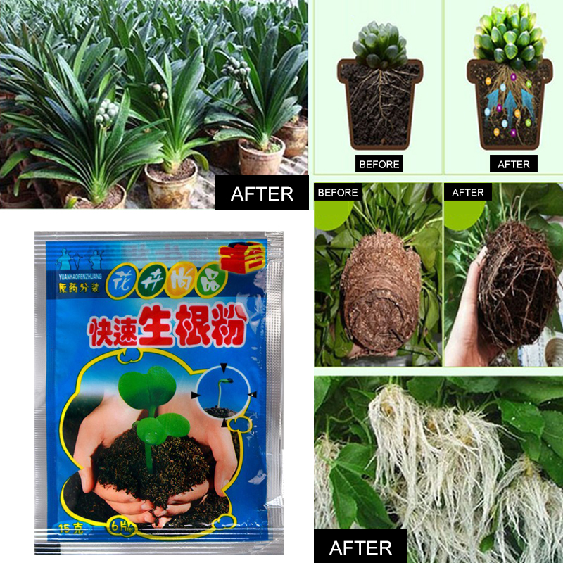 5pcs Fast Rooting Powder Plant - Rooting Hormone Powder recension och pris