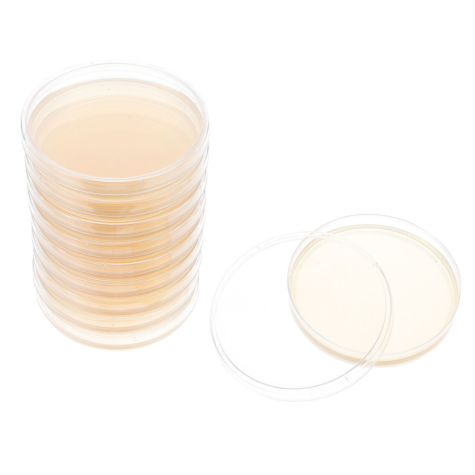 10pcs Nutrient Agar Plates Pre - Agar Tissue Culture recension och pris