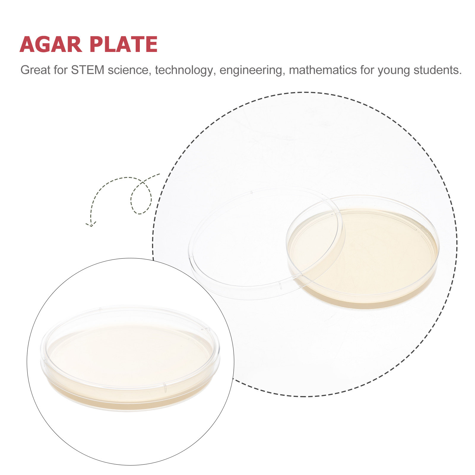 10pcs Nutrient Agar Plates Pre - Agar Tissue Culture recension och pris
