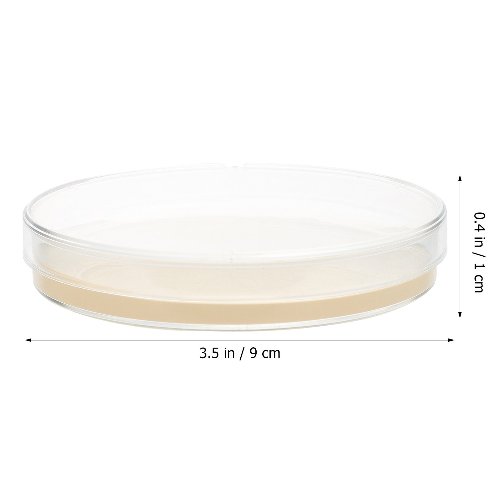 10pcs Nutrient Agar Plates Pre - Agar Tissue Culture recension och pris