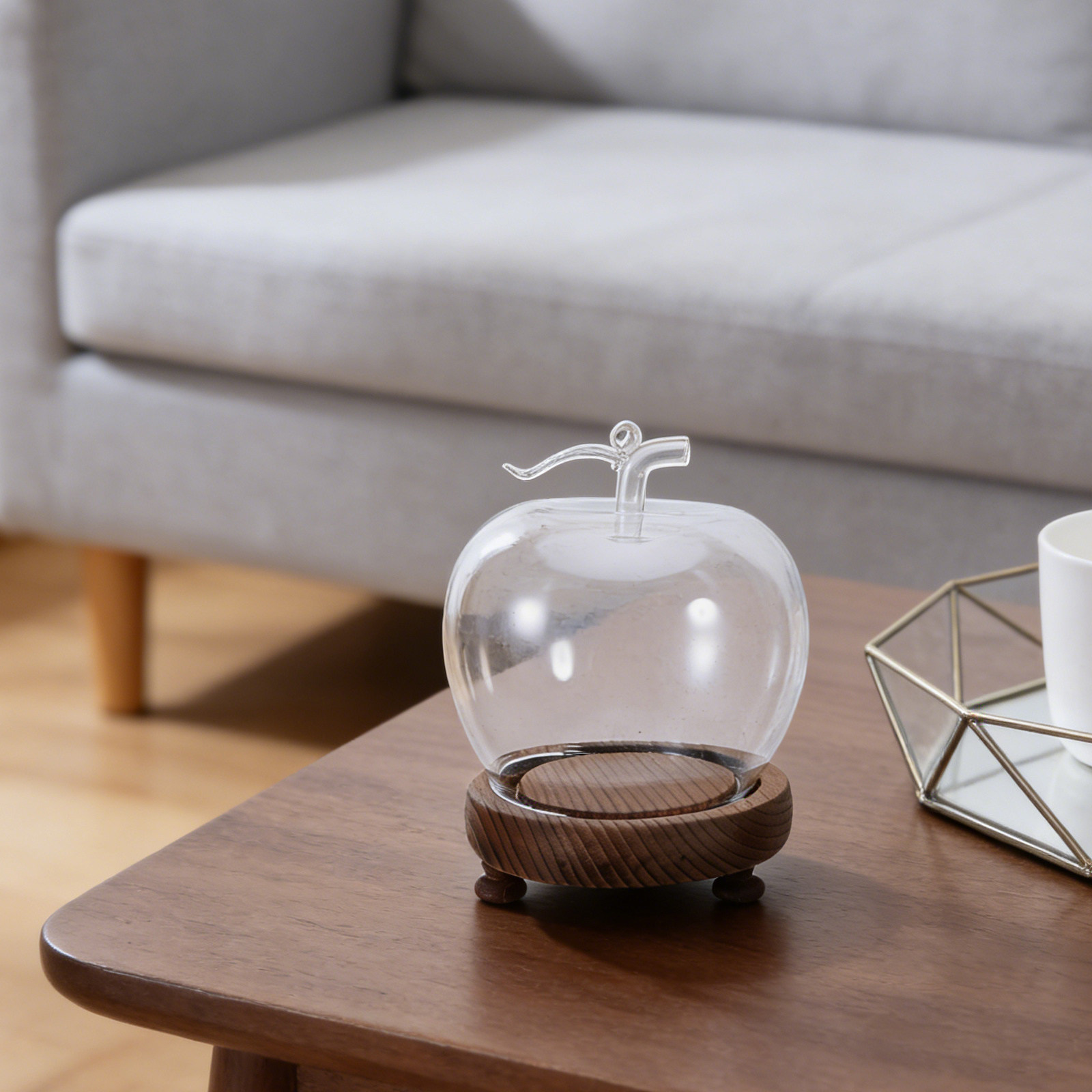 Clear Glass Dome Display with  - Plastic Dome Clear recension och pris