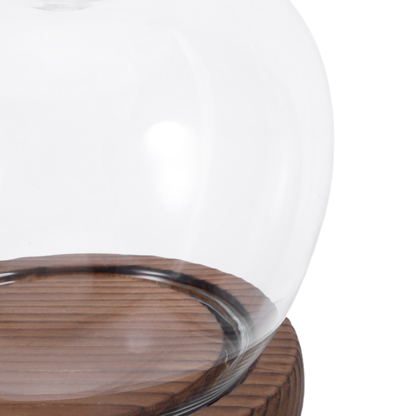 Clear Glass Dome Display with  - Plastic Dome Clear recension och pris
