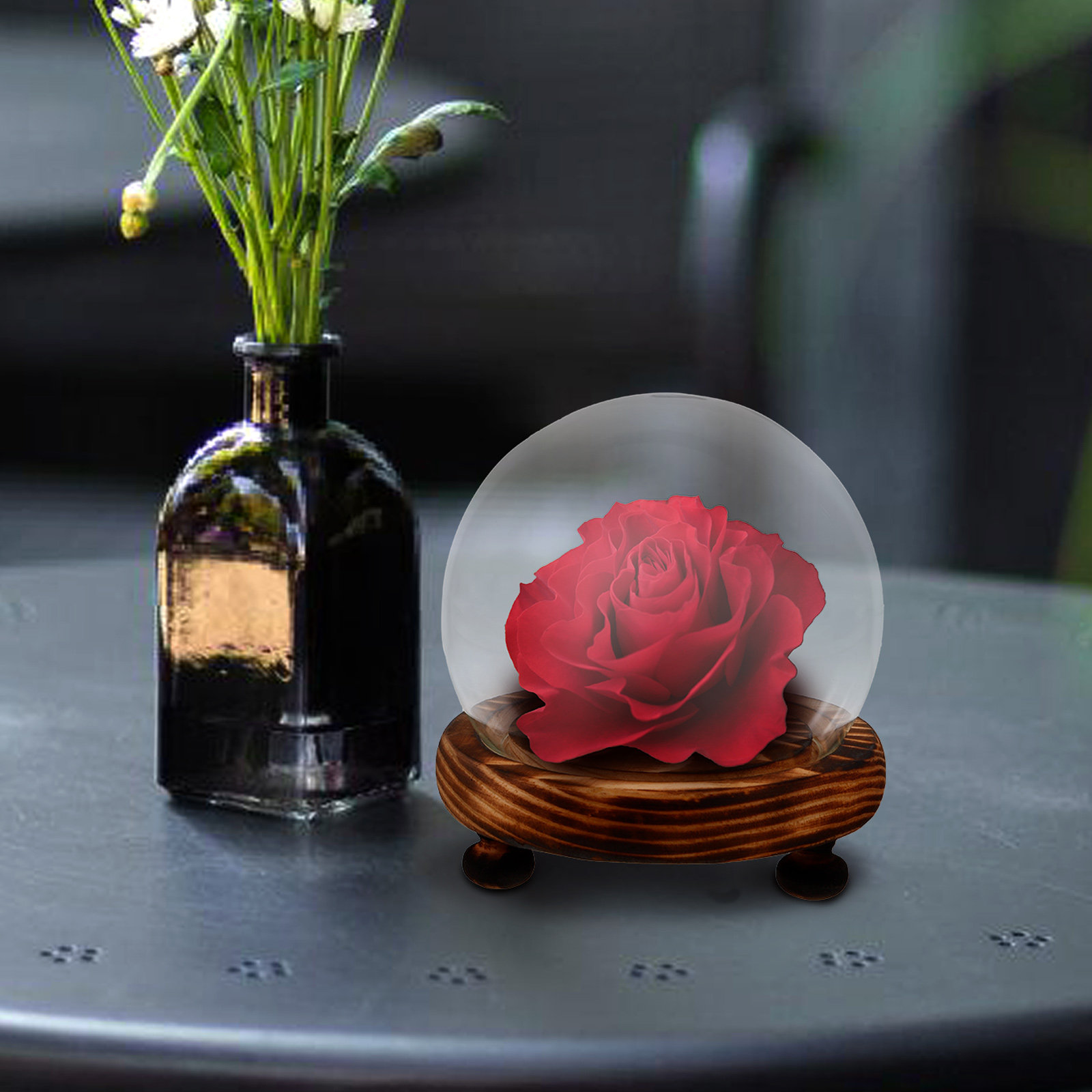 Glass Dome Display Case with W - Plastic Dome Clear recension och pris