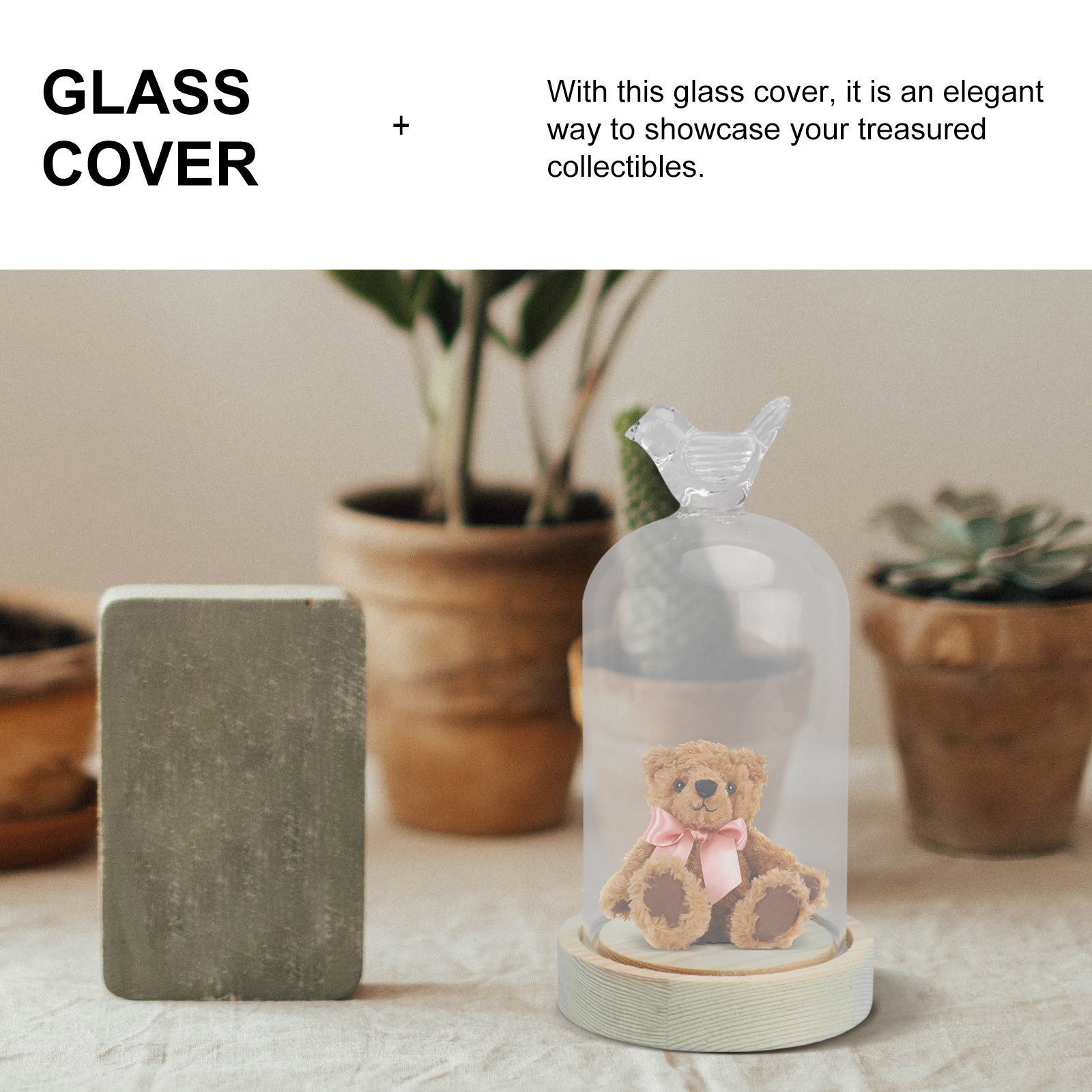 1Pcs Glass Display Cover Clear - Plastic Dome Clear recension och pris