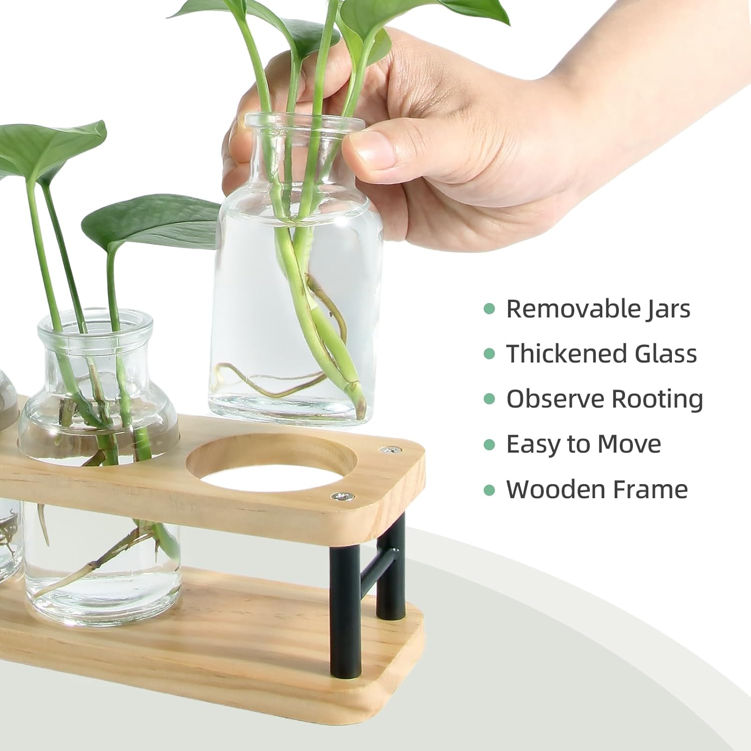Propagation Station with Woode - Propagation Station Vase recension och pris