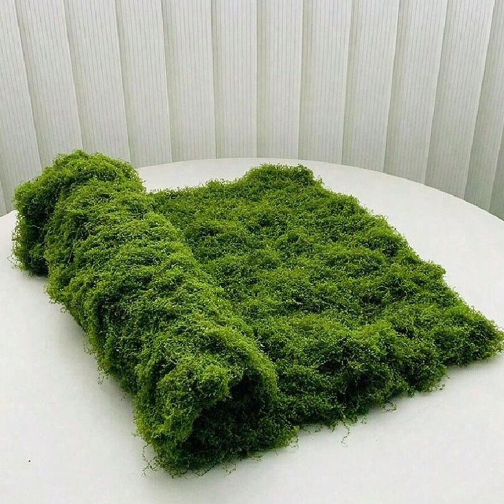 1*1m Fake Moss DIY Crafts Gras - Sphagnum Moss Dry recension och pris