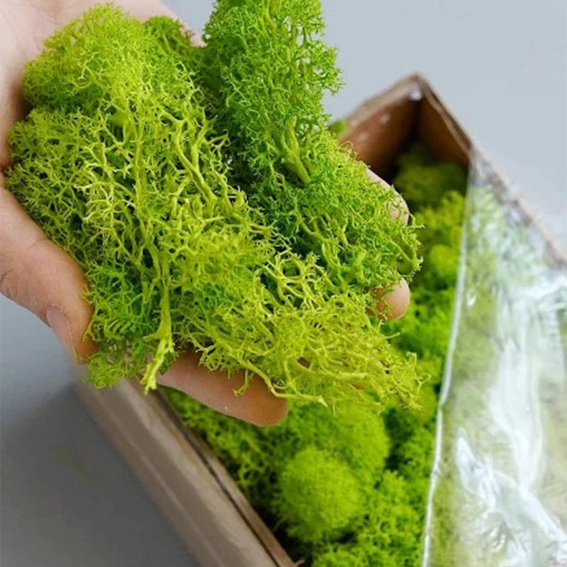 200g Artificial Green Plants M - Sphagnum Moss Dry recension och pris