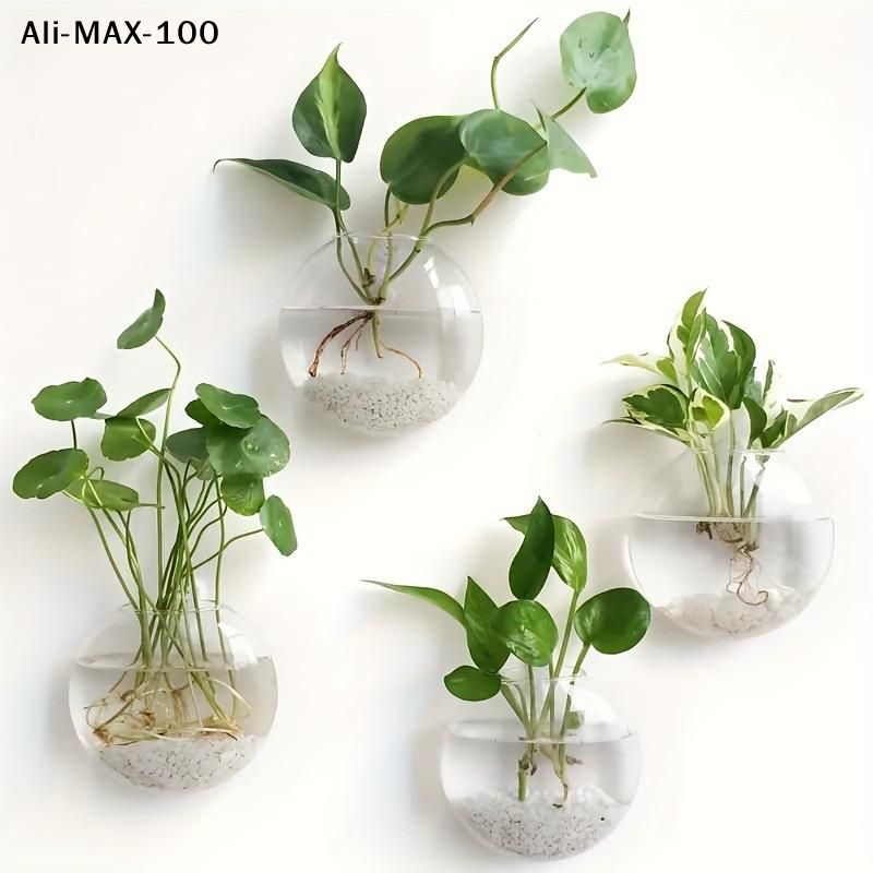 【MA3】Wall Hanging Glass Plant  - Propagation Station Vase recension och pris