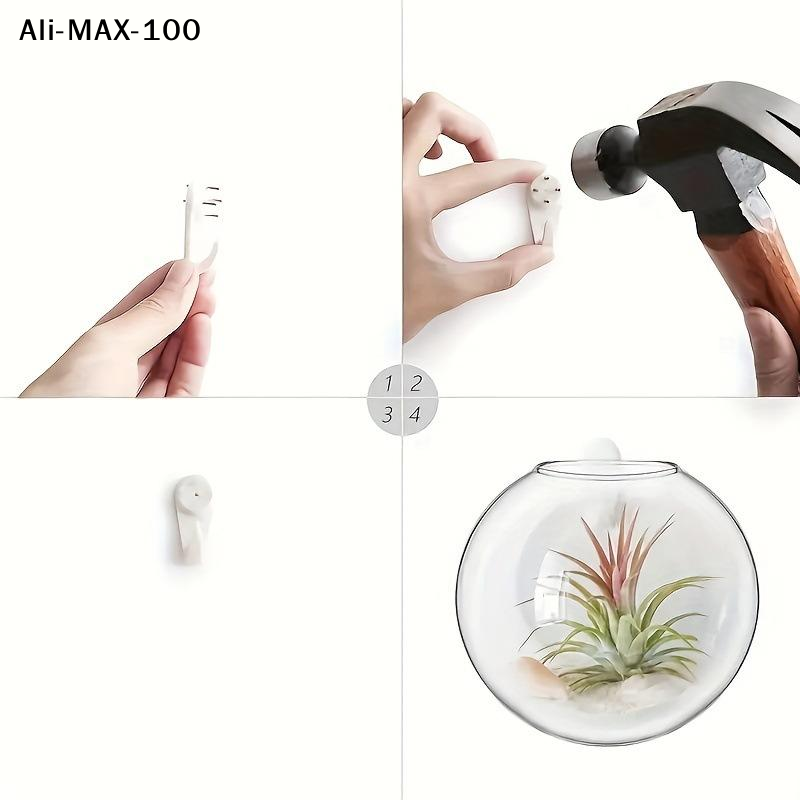 【MA3】Wall Hanging Glass Plant  - Propagation Station Vase recension och pris