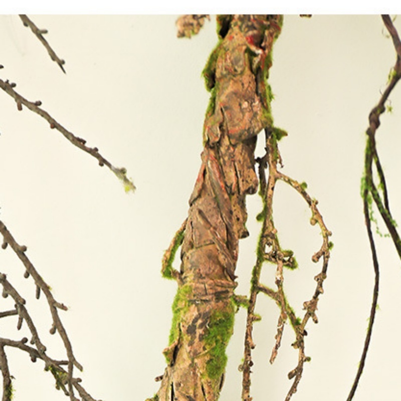 New Withered Vines Artificial  - Sphagnum Moss Dry recension och pris