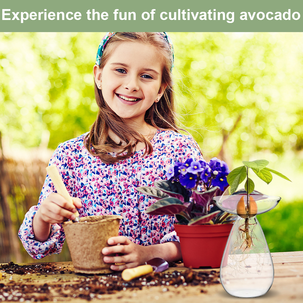 Avocado Seed Starter Vase Tran - Propagation Station Vase recension och pris