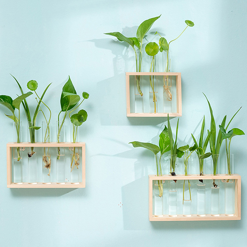 Hydroponic Plants Container wi - Propagation Station Vase recension och pris