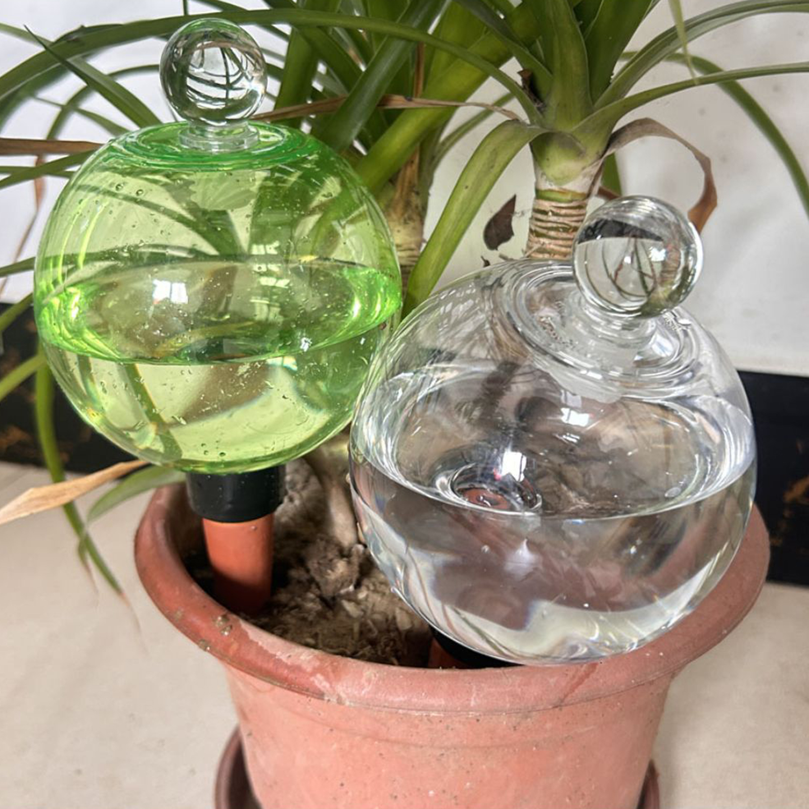 Self Watering Planter Insert T - Self Watering Insert recension och pris