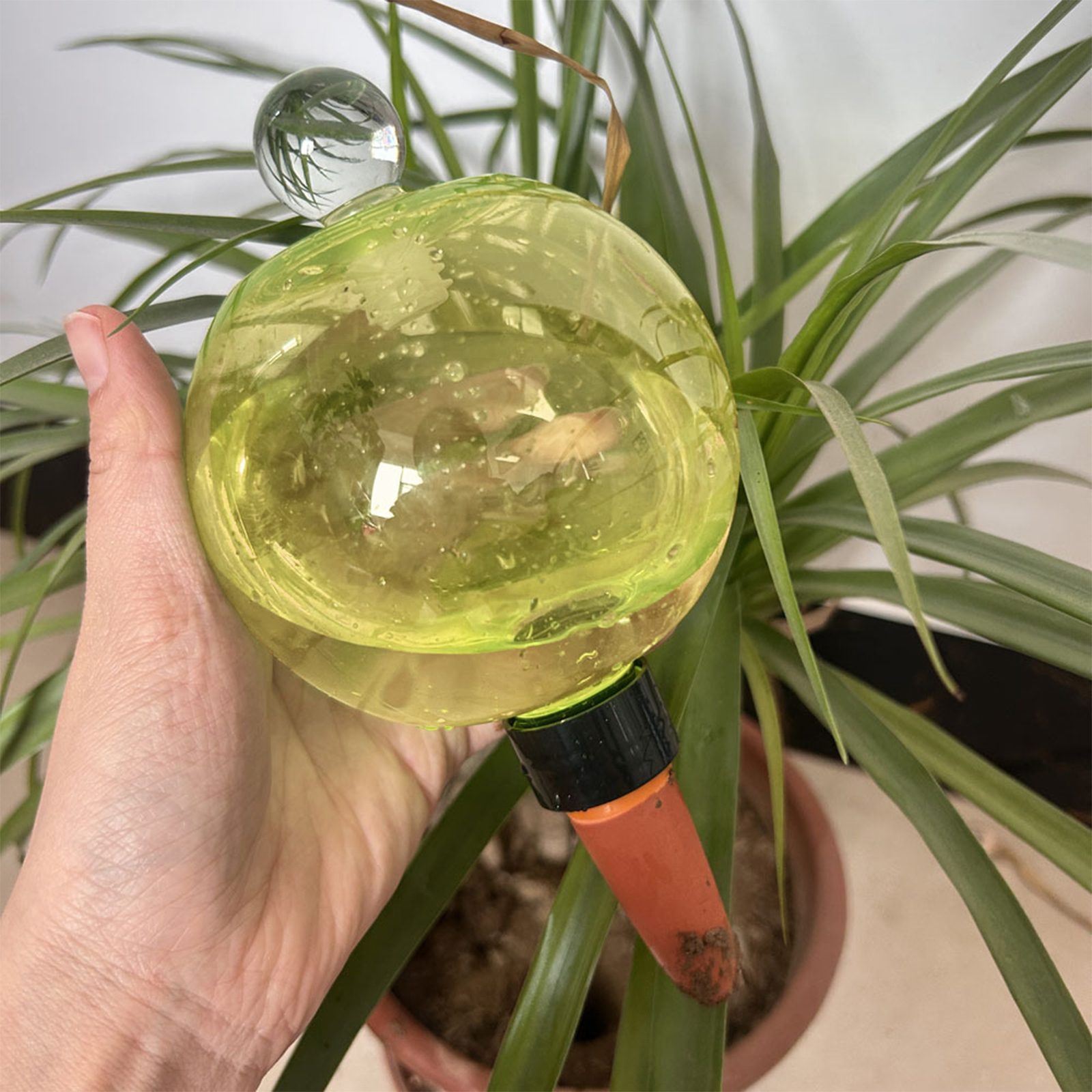 Self Watering Planter Insert T - Self Watering Insert recension och pris